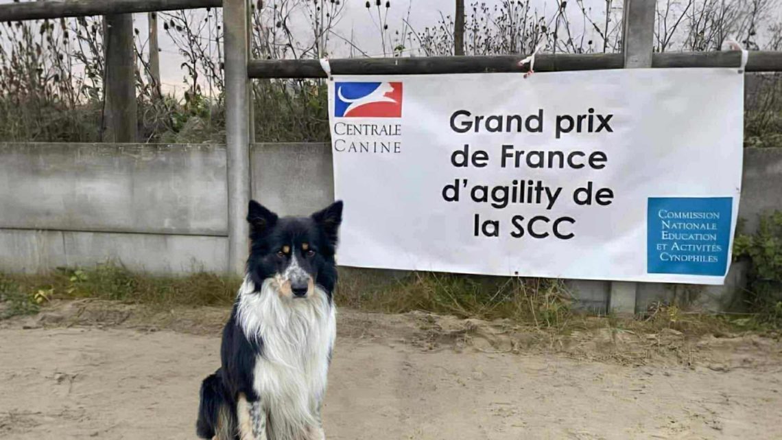 Une belle expérience