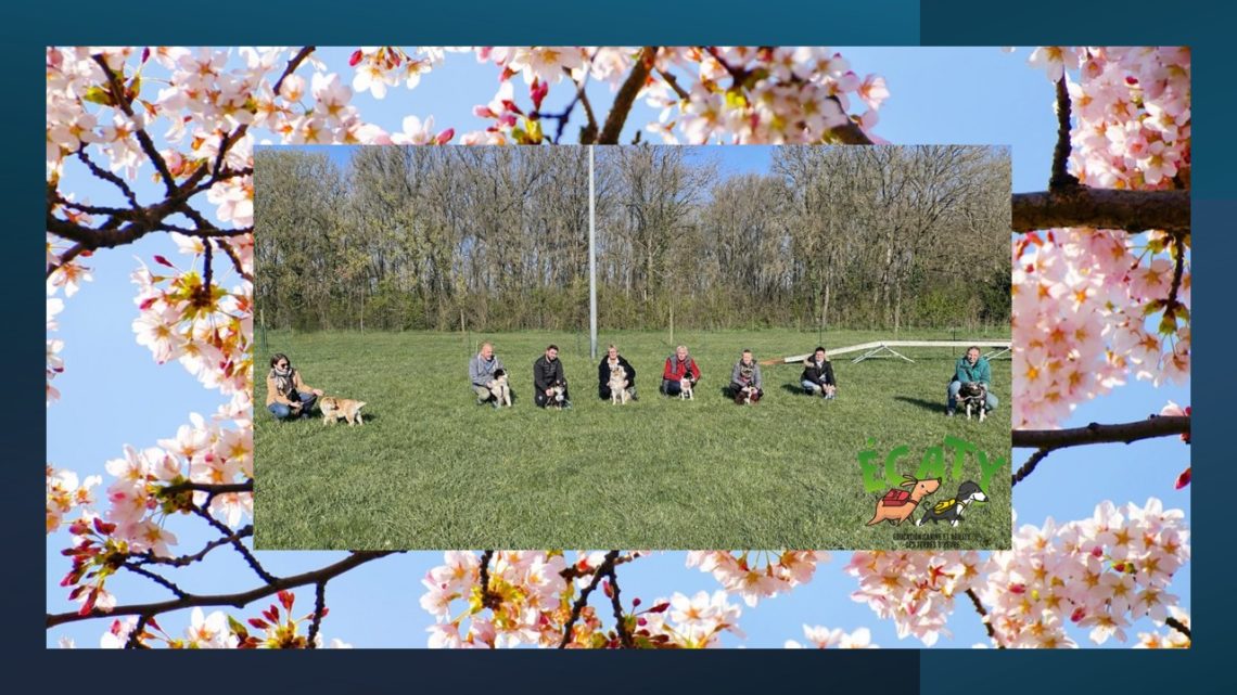 C&rsquo;est le Printemps